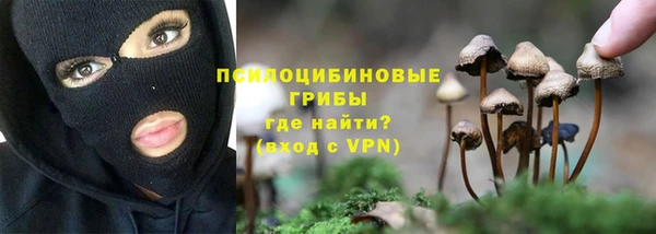 ешки Майский