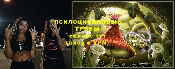 ешки Майский