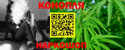 прущие грибы Будённовск