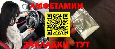 прущие грибы Будённовск