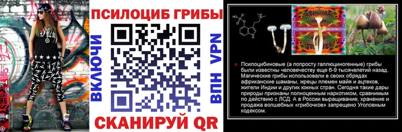 Псилоцибиновые грибы ЛСД  сколько стоит  Губкин 