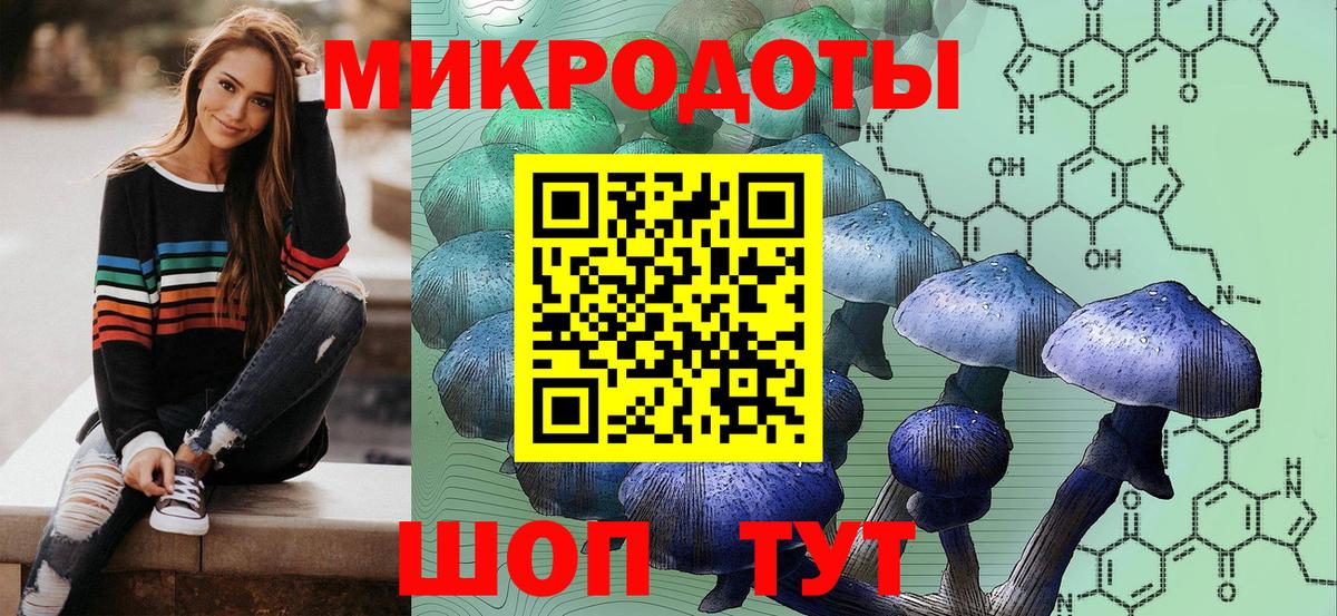 Псилоцибиновые грибы Psilocybe Губкин