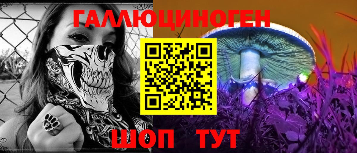 Галлюциногенные грибы Magic Shrooms  Губкин 