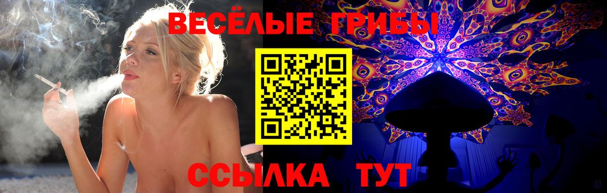 Псилоцибиновые грибы Magic Shrooms  Вход с VPN  Губкин 